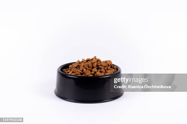 dry cat food in yellow bowl isolated on white - pets food stock pictures, royalty-free photos & images