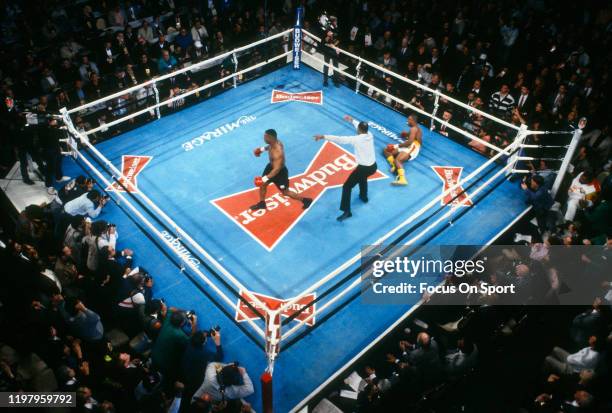 Dunnovan Ruddock 370 Donovan Ruddock Photos & High Res Pictures - Getty Images