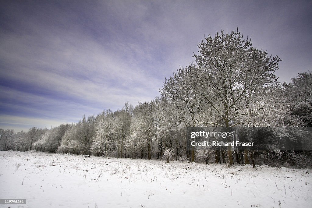 Frost and snow on trees against  winter blue sky.