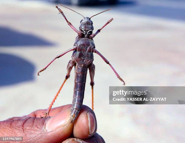 77 Rai (Kuwait) Stock Photos, High-Res Pictures, and Images - Getty Images