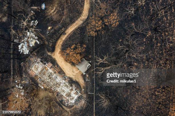 bush fire destruction - forest new south wales stock pictures, royalty-free photos & images