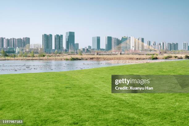 nanchong city, sichuan province, china - rivier gras oever stockfoto's en -beelden