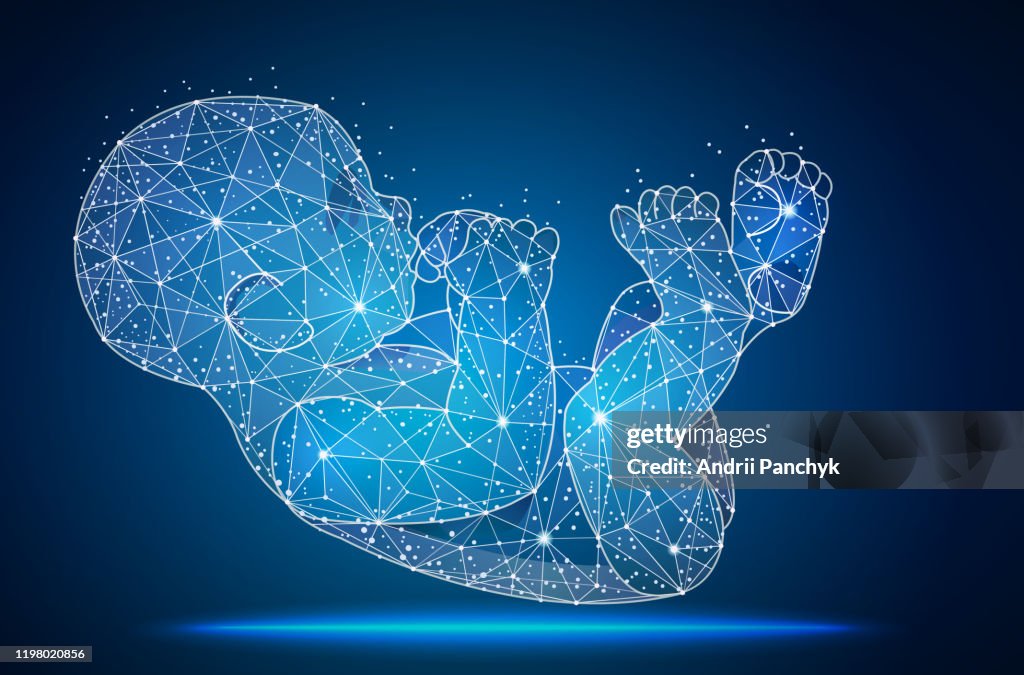 Human fetus. Artificial nurtured bionic fetuses, points and lines connected, vector illustration.