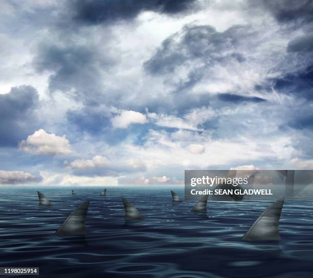 shark infested waters - surfacing stock pictures, royalty-free photos & images