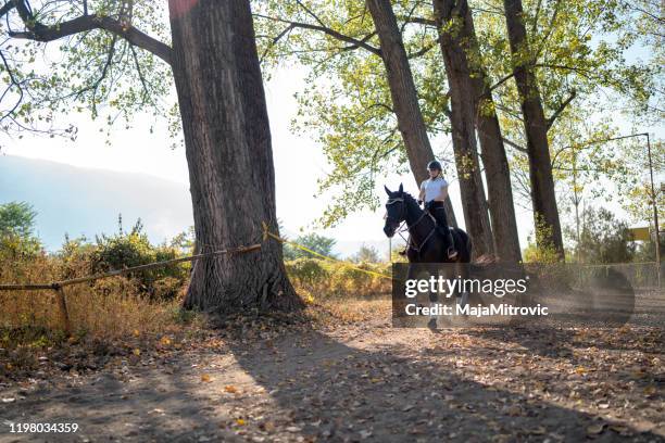 portrait of teenage girl with horse in stable - brown girl stock pictures, royalty-free photos & images