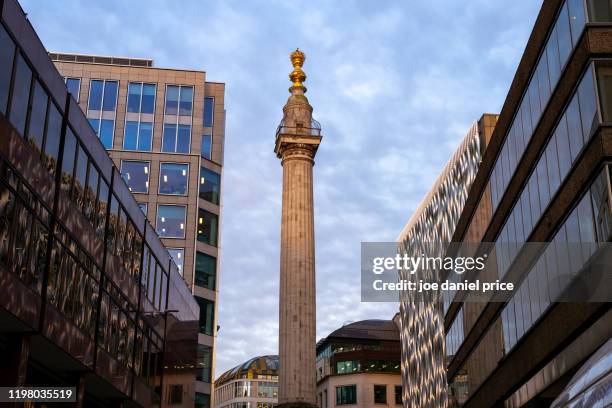 monument to the fire of london, london, england - the monument stock pictures, royalty-free photos & images