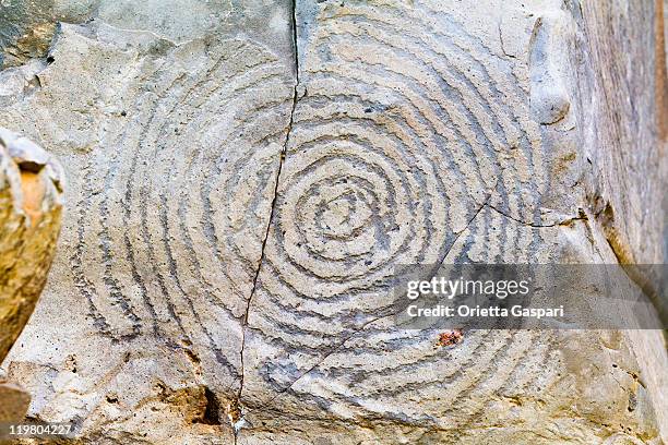 Cave Patterns 3,602 Prehistoric Cave Painting Stock Photos, High-Res Pictures, and ...