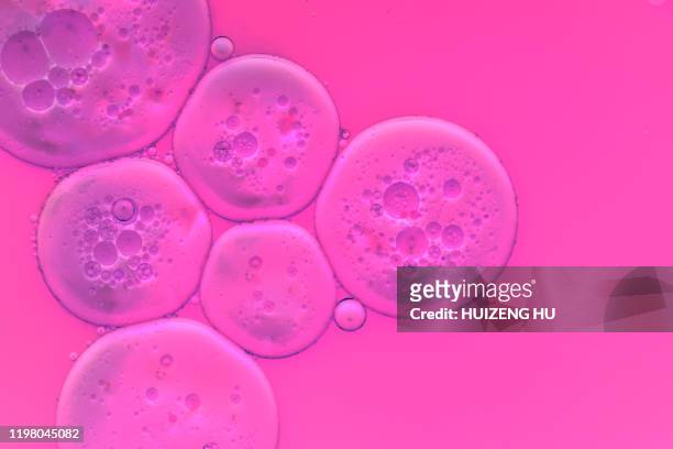 cell membrane. closeup of liquid bubbles. abstract cell molecule sctructure. - microscope photos et images de collection