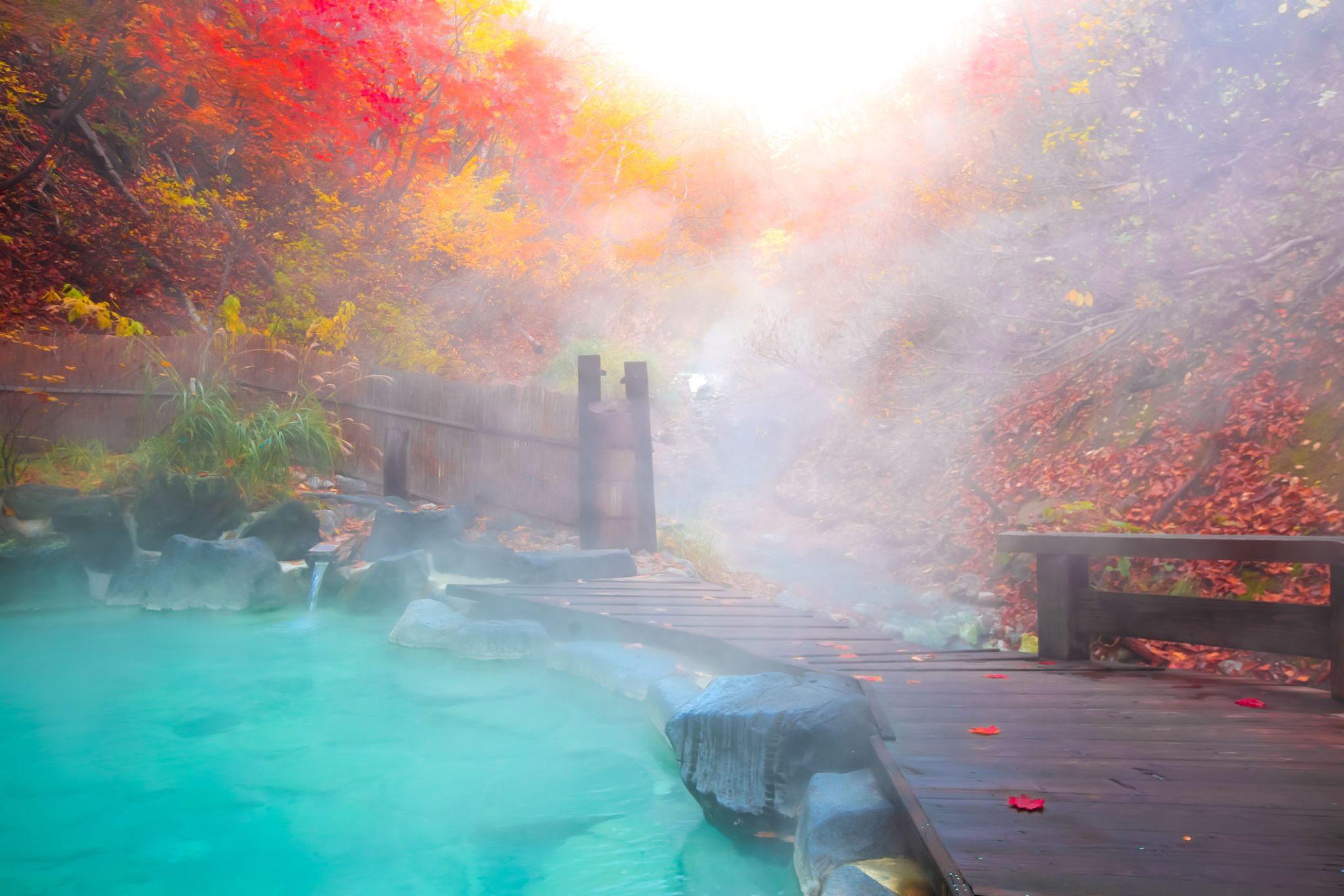 tokyo spa