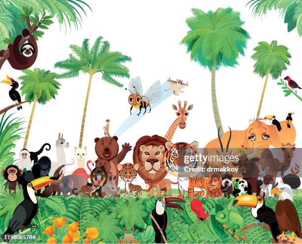 animals, africa,asia, america, south america, europe, - anteater stock illustrations