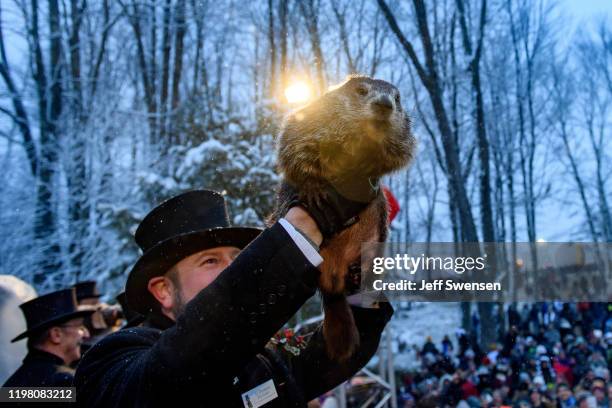 Groundhog handler AJ Dereume holds Punxsutawney Phil, who did not see his shadow, predicting an early or late spring during the 134th annual...