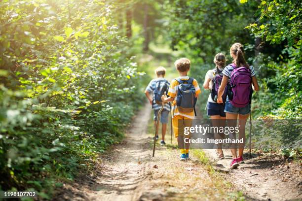 familia disfrutando del senderismo juntos - senderismo fotografías e imágenes de stock