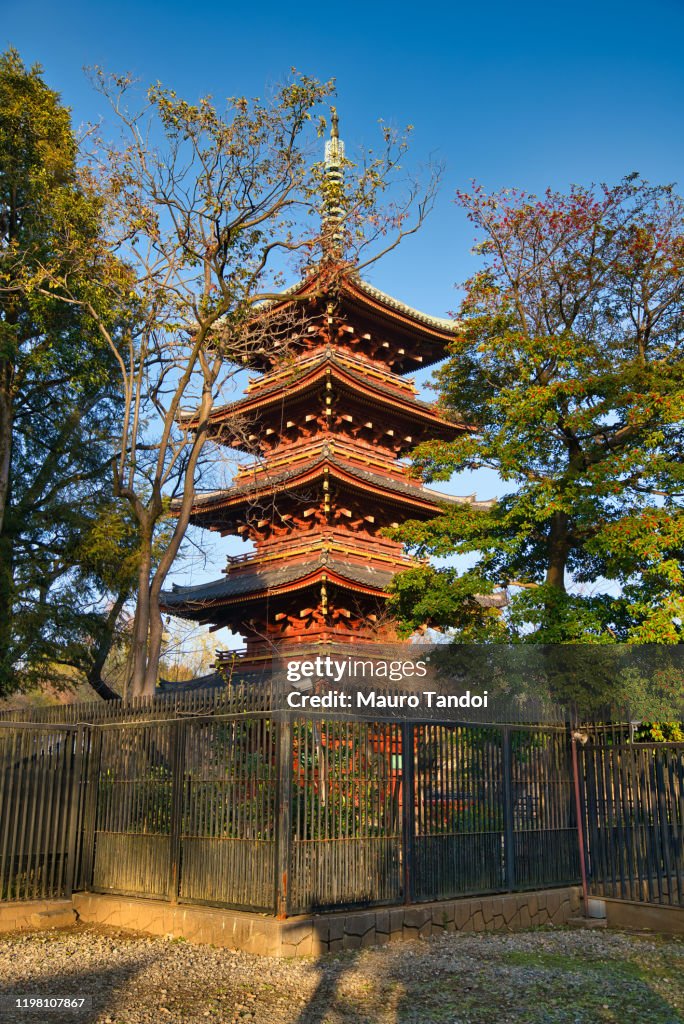 The five storied pagoda of Kan'ei-ji, Tokyo