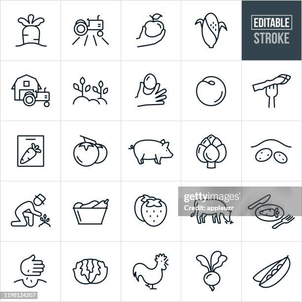 farm food and livestock thin line icons - editable stroke - farmer planting corn stock illustrations