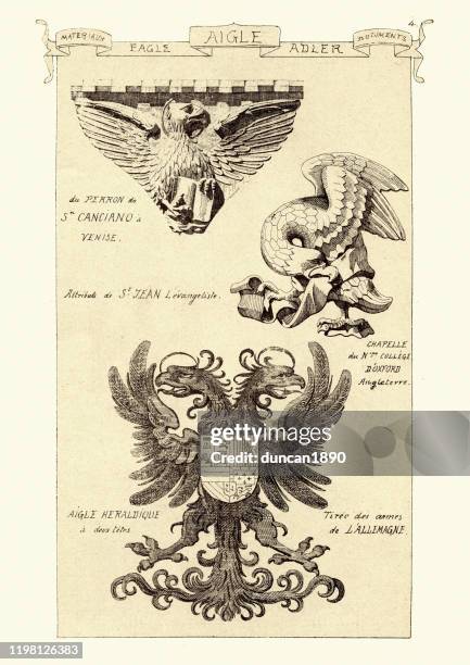 examples of eagles in art, double headed eagle, venice, german - eagle crest stock illustrations