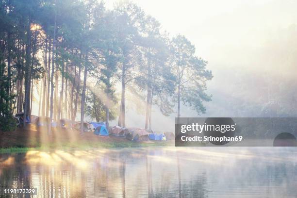 pang lake, oog and pine forests in mae hong son, thailand. the natural landscape of thailand pang ung is a popular tourist destination in thailand. - oog stock pictures, royalty-free photos & images