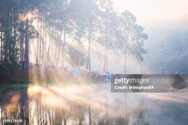 pang lake, oog and pine forests in mae hong son, thailand. the natural landscape of thailand pang ung is a popular tourist destination in thailand. - oog stock pictures, royalty-free photos & images