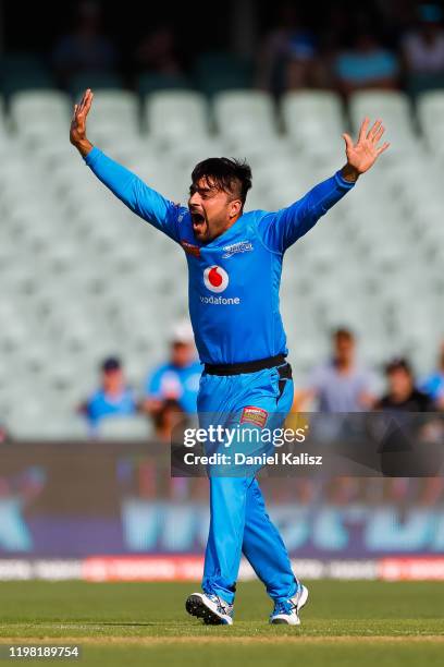 Rashid Khan of the Strikers celebrates after taking a hat trick during the Big Bash League match between the Adelaide Strikers and the Sydney Sixers...