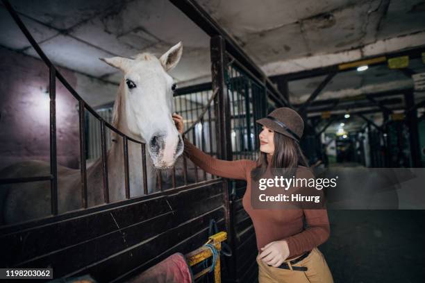 jóquei da mulher e seu cavalo - baio - fotografias e filmes do acervo