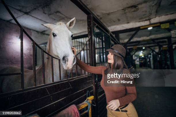 女子騎師和她的馬 - bay horse 個照片及圖片檔
