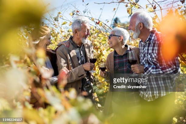 gruppe von glücklichen senioren sprechen, während wein im weinberg trinken. - wine tasting stock-fotos und bilder