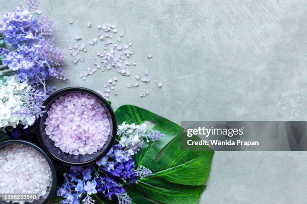 thai spa. top view of hot stones setting for massage treatment and relax with purple orchid on blackboard with copy space.  lifestyle healthy concept - orchids of asia stock pictures, royalty-free photos & images