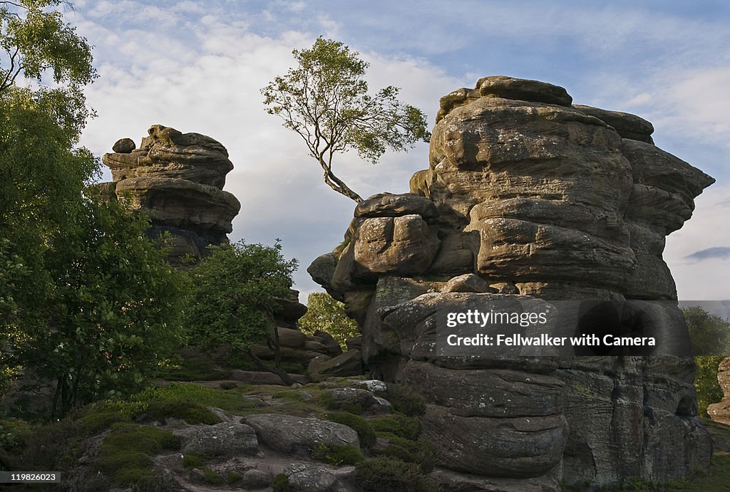 Brumham Rocks Evening At Brimham Rocks High-Res Stock Photo - Getty Images