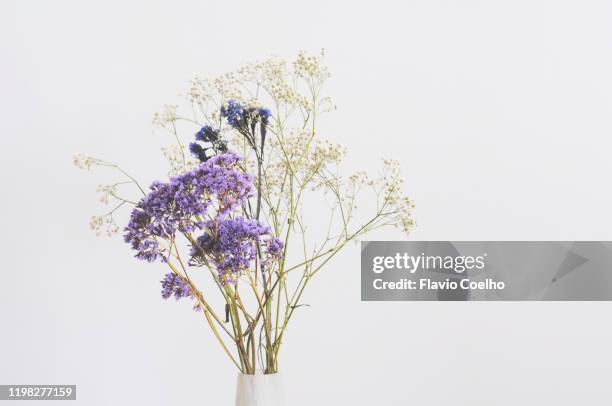 dried flowers bouquet - dried flower stock pictures, royalty-free photos & images