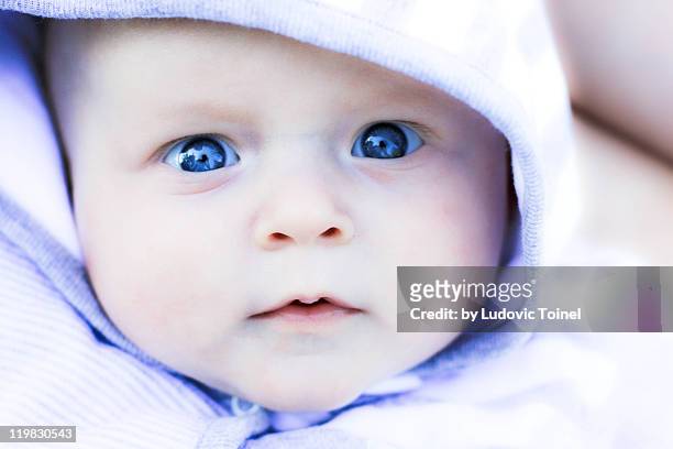 portrait of baby - ludovic toinel stock pictures, royalty-free photos & images