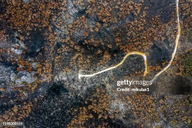 bush fire destruction - blue mountains australia stock pictures, royalty-free photos & images