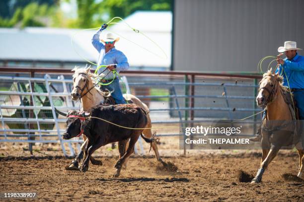 Original Team Roping Team Roping Rodeo Action High-Res Stock Photo - Getty Images