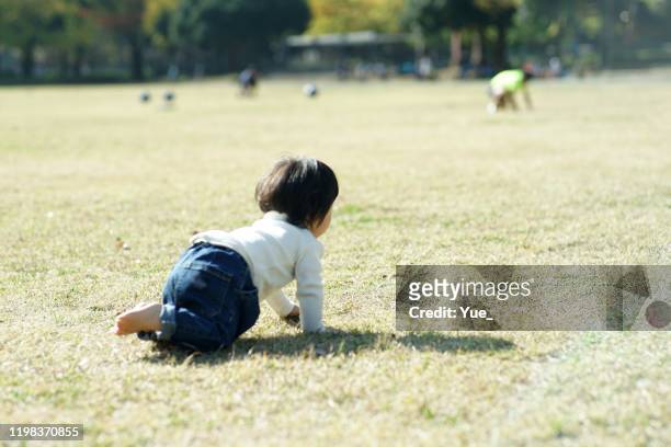 公園で遊んでいる男の子 - 這う ストックフォトと画像