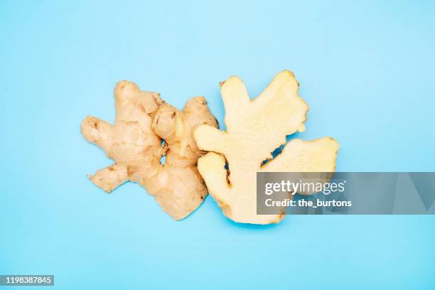 high angle view of a halved ginger root on blue background - ショウガ ストックフォトと画像