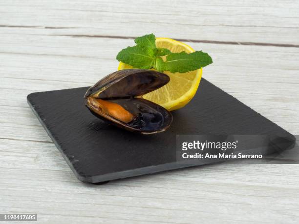 open mussel half lemon with some peppermint leaves on a slate plate - mexilhão imagens e fotografias de stock