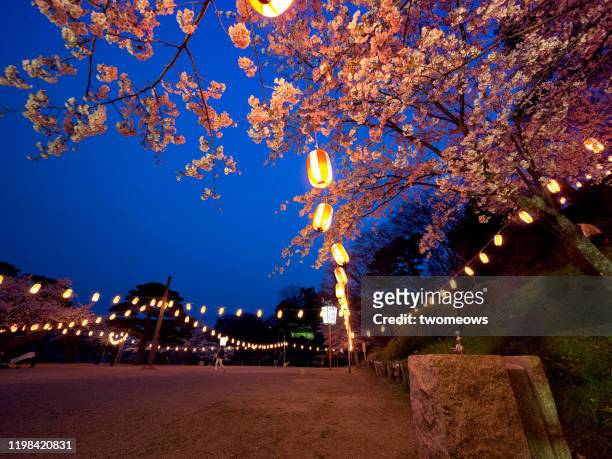 cherry blossom festival in japan. - hanami stock pictures, royalty-free photos & images