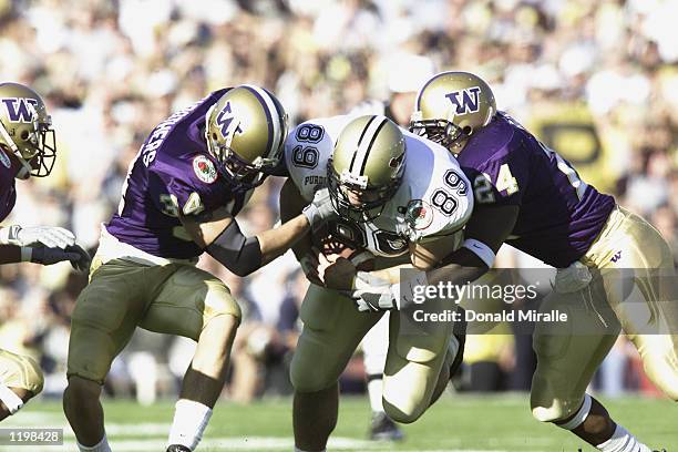 Tim Stattrop 13 Purdue Tim Stratton Stock Photos, High-Res Pictures, and Images ...