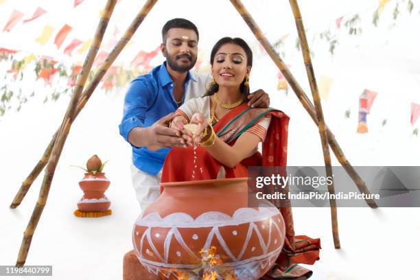 husband and  wife celebrating pongal - pongal stockfoto's en -beelden