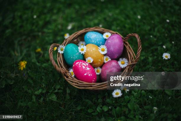 multiply colorful easter eggs in the basket on the green grass - easter eggs basket stock-fotos und bilder