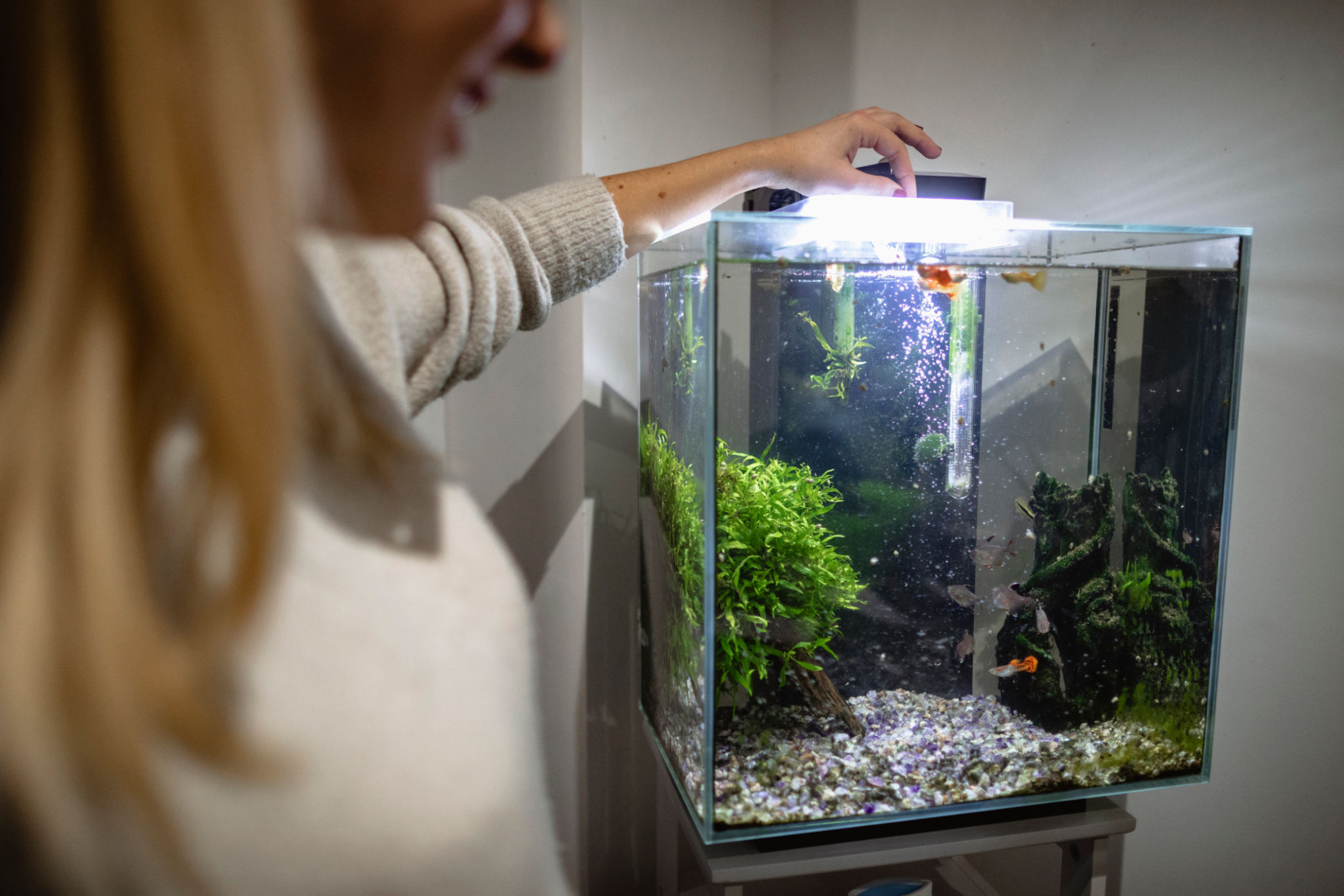 pet resources