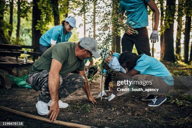 Planting Tree Park Photos and Premium High Res Pictures - Getty Images