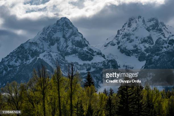 snowy mountains with green trees - bonneville county idaho stockfoto's en -beelden