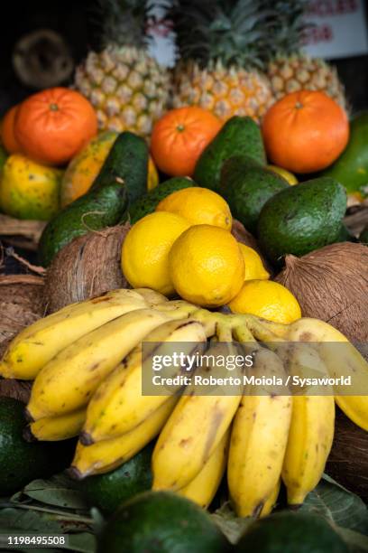 fresh exotic tropical fruit, indian ocean, mauritius - mango coconut stock-fotos und bilder