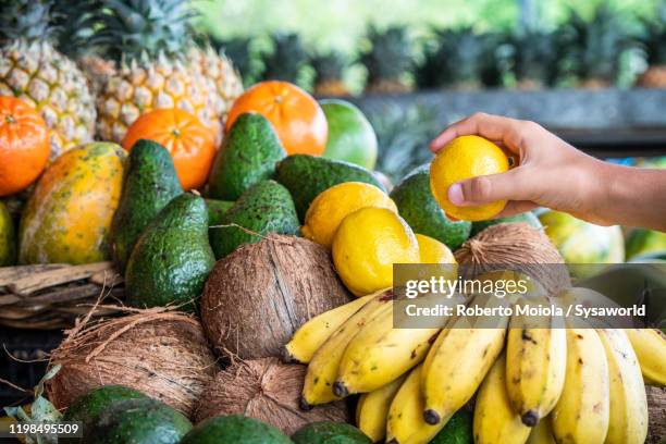 fresh tropical fruit on market stall, mauritius island - fruta tropical fotografías e imágenes de stock