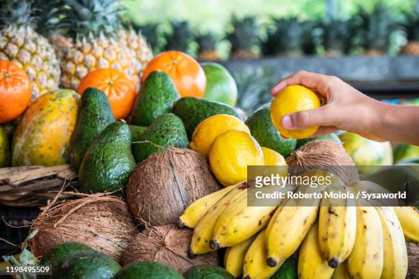 fresh tropical fruit on market stall, mauritius island - exoticism 個照片及圖片檔