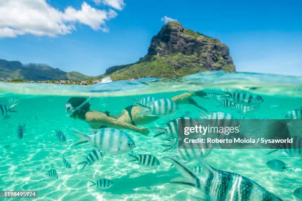 woman snorkeling with tropical fish, indian ocean, mauritius - snorkel reef stock pictures, royalty-free photos & images