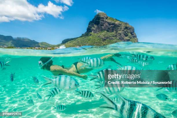 woman snorkeling with tropical fish, indian ocean, mauritius - mauritius - fotografias e filmes do acervo