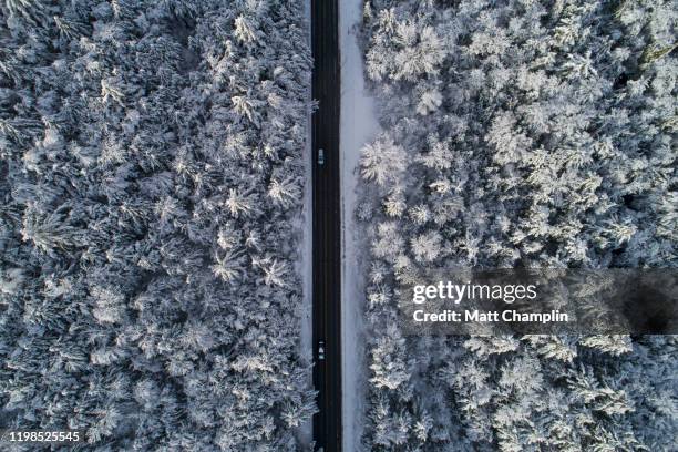 aerial of country road and snow covered trees in winter wilderness in adirondacks - 阿迪朗達克州立公園 個照片及圖片檔