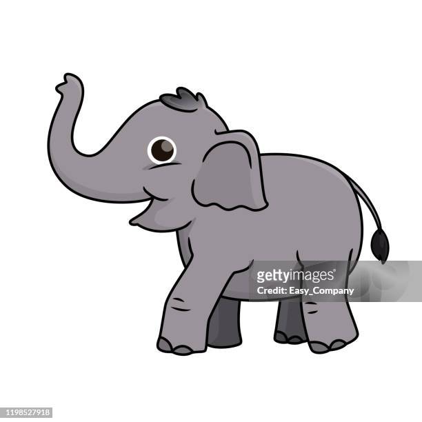 illustrazioni stock, clip art, cartoni animati e icone di tendenza di illustrazione vettoriale di elefante isolato su sfondo bianco. - erbivoro