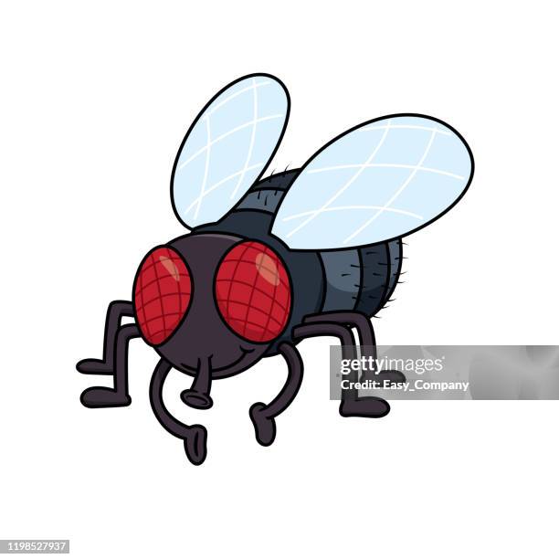 illustrazioni stock, clip art, cartoni animati e icone di tendenza di illustrazione vettoriale della mosca isolata su sfondo bianco. - baco