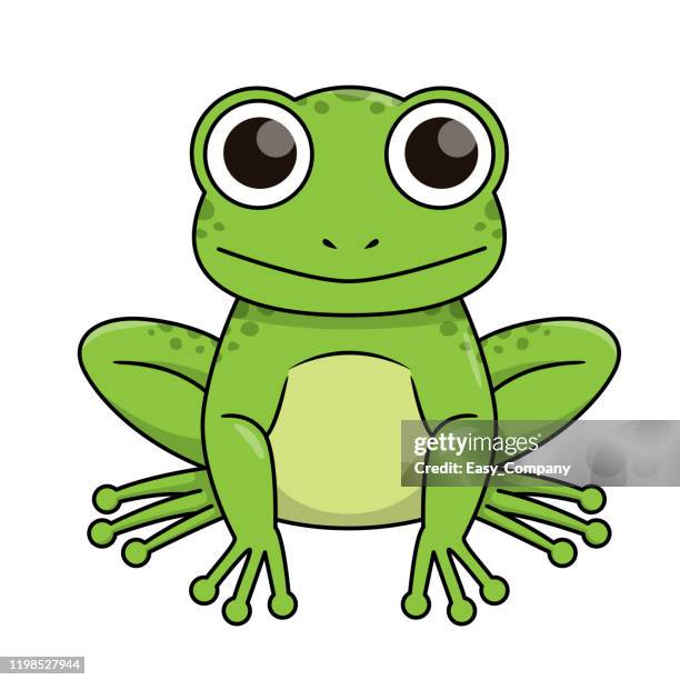 illustrations, cliparts, dessins animés et icônes de illustration de vecteur de grenouille d'isolement sur le fond blanc. - amphibien